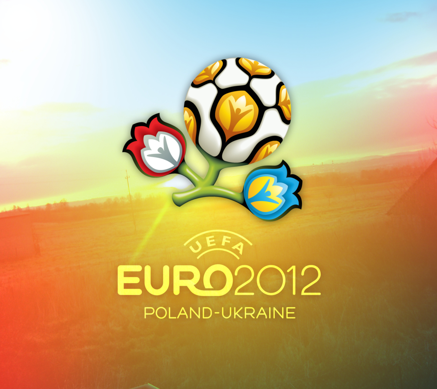 Fondo de pantalla Euro 2012 1440x1280