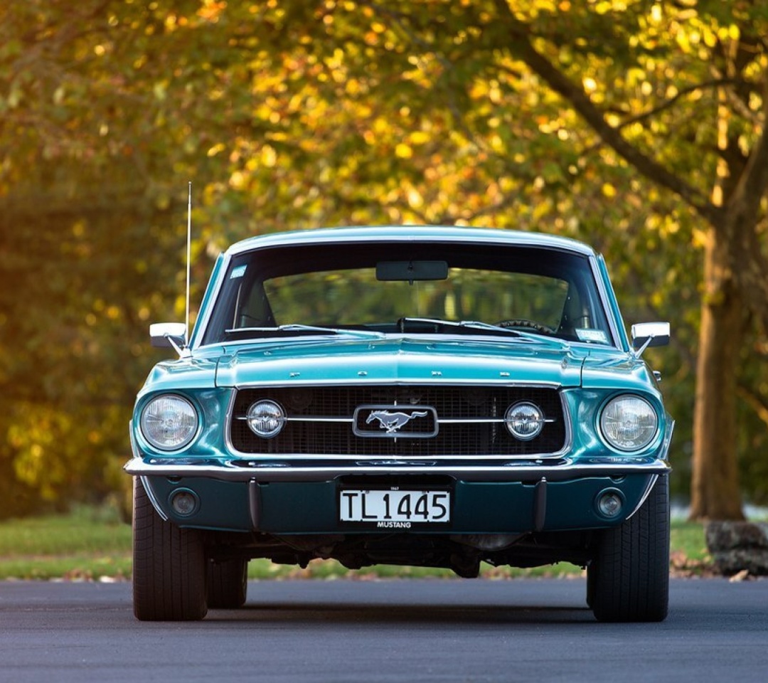 Sfondi Ford Mustang First Generation 1080x960