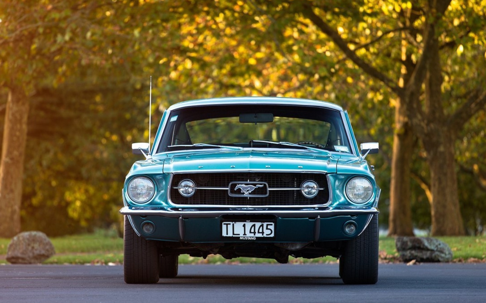 Das Ford Mustang First Generation Wallpaper 1680x1050