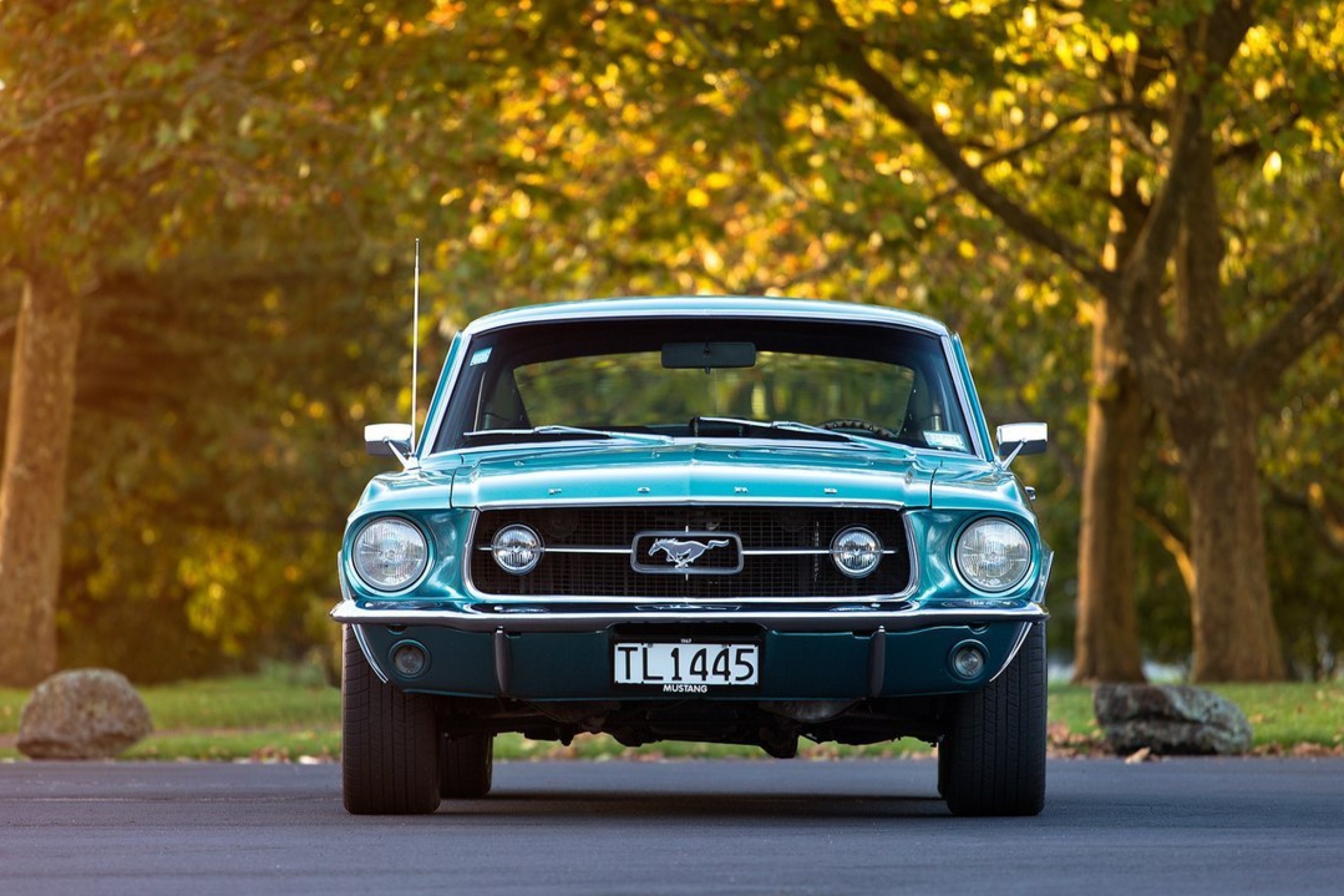 Обои Ford Mustang First Generation 2880x1920