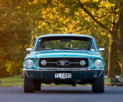 Ford Mustang First Generation screenshot #1 480x400