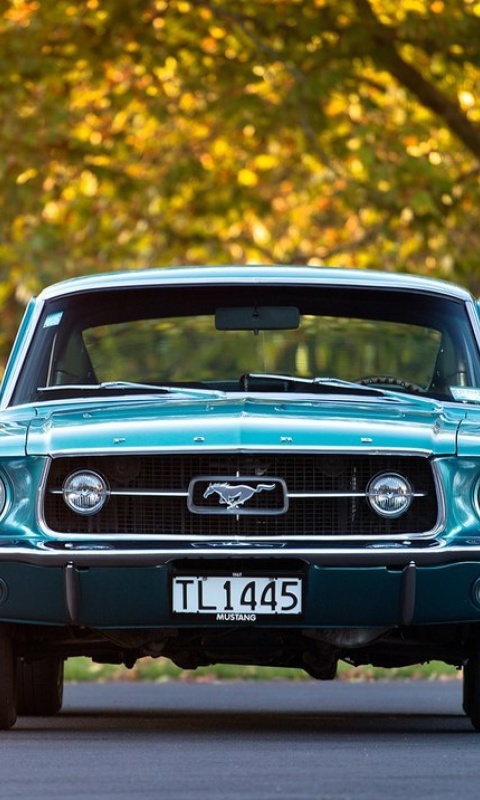 Ford Mustang First Generation screenshot #1 480x800