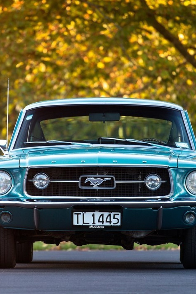 Fondo de pantalla Ford Mustang First Generation 640x960