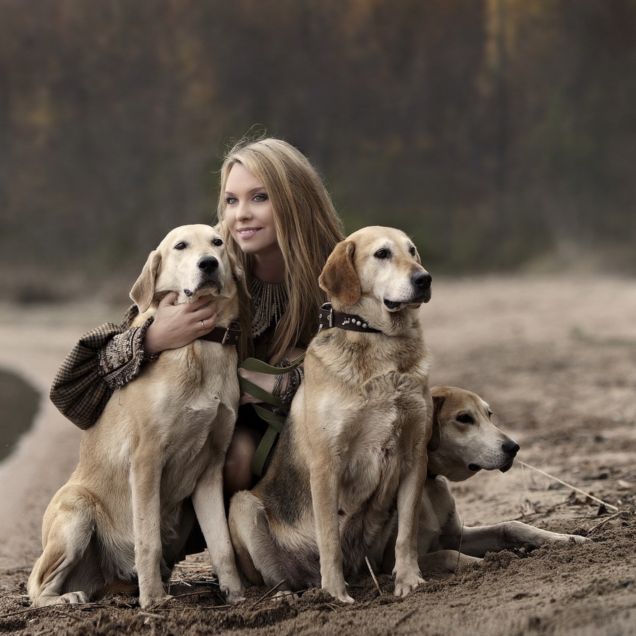 Das Girl With Dogs Wallpaper 2048x2048