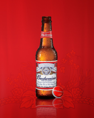 Budweiser Beer - Obrázkek zdarma pro 480x640