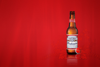 Budweiser Beer - Obrázkek zdarma pro HTC One