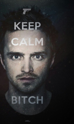 Keep Calm And Watch Breaking Bad wallpaper 240x400