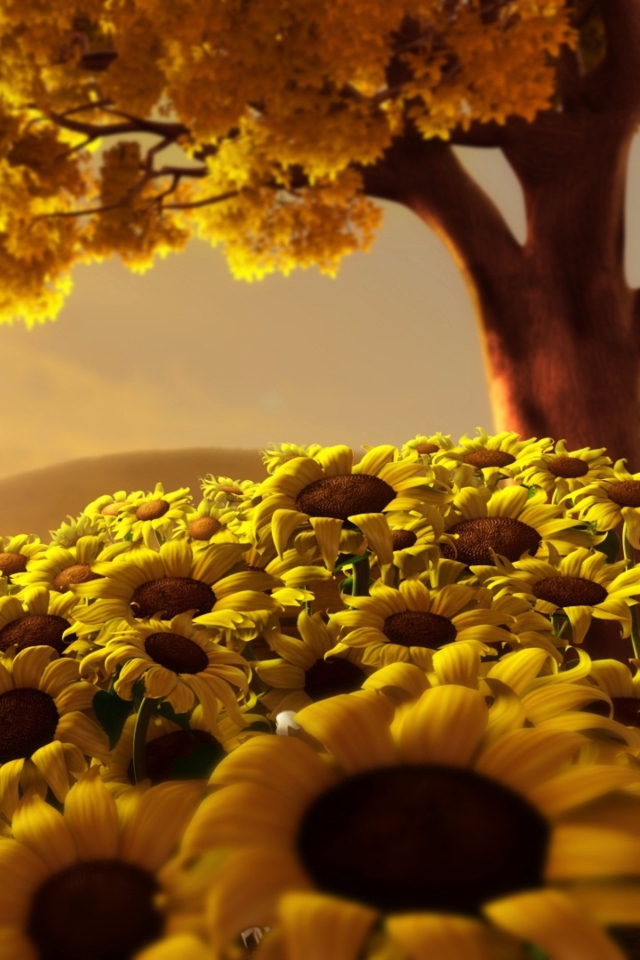 Screenshot №1 pro téma Sunflower World 640x960