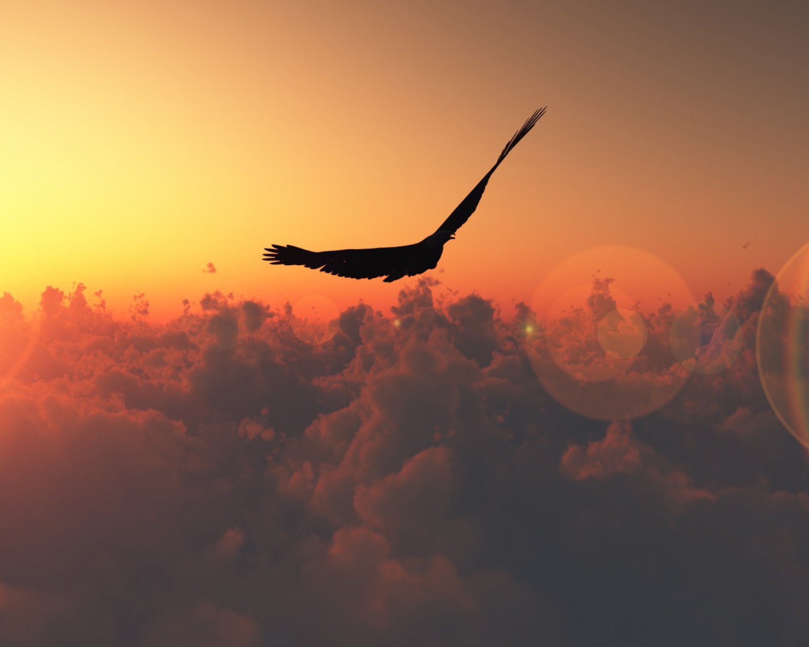 Hawk Flying High screenshot #1 1600x1280