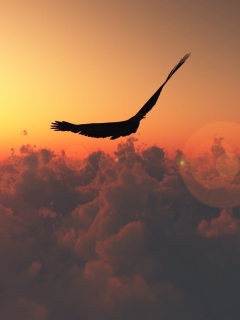 Hawk Flying High wallpaper 240x320