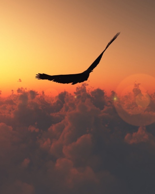 Hawk Flying High - Obrázkek zdarma pro iPhone 5S