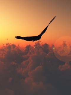 Screenshot №1 pro téma Bird Flight 240x320