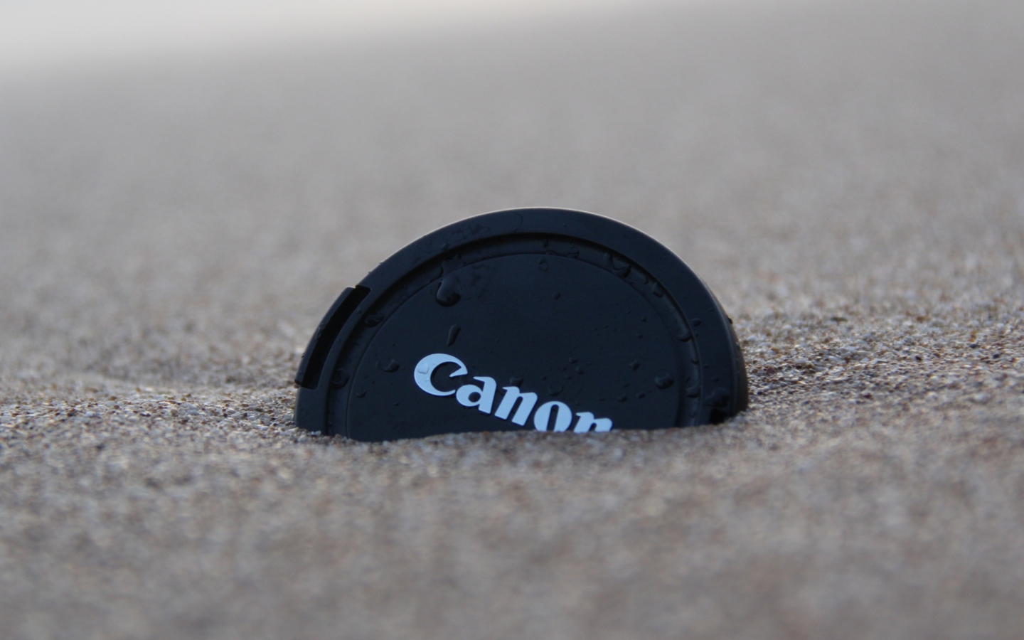 Screenshot №1 pro téma Canon 1440x900