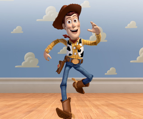 Fondo de pantalla Cowboy Woody in Toy Story 3 480x400