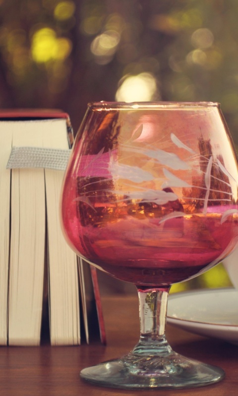 Обои Perfect day with wine and book 480x800