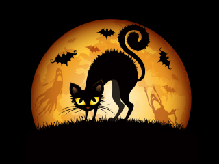 Scary Black Cat screenshot #1 320x240