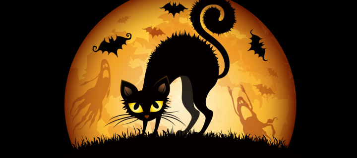 Обои Scary Black Cat 720x320