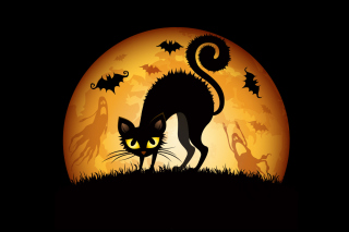 Scary Black Cat - Obrázkek zdarma pro Samsung Galaxy Tab 4G LTE