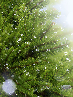 Das Christmas Tree And Snow Wallpaper 240x320