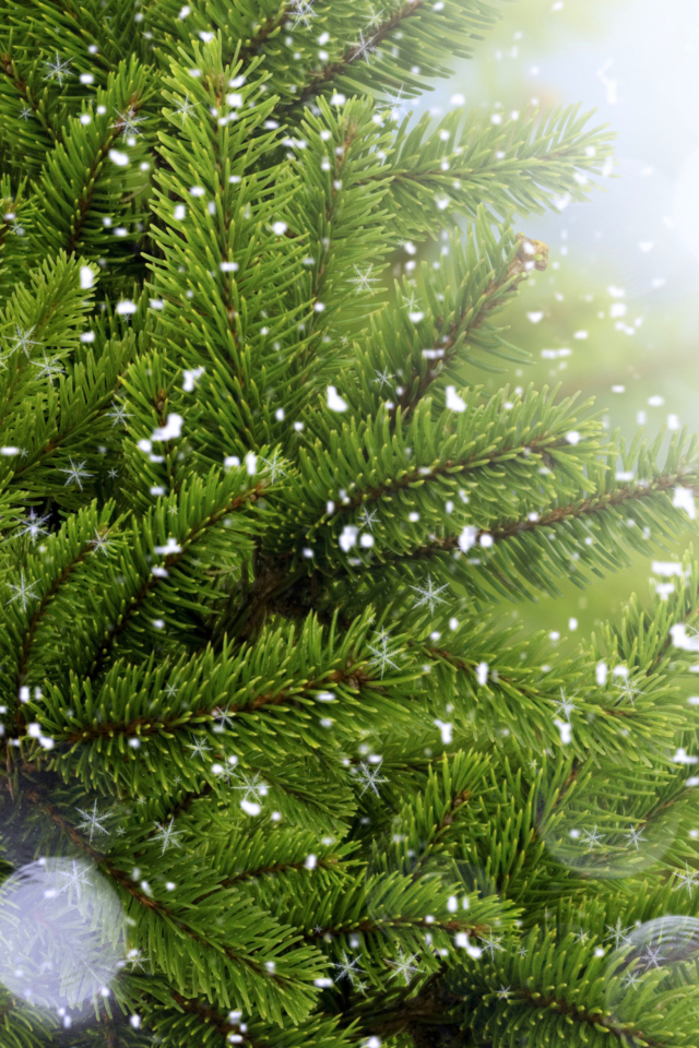 Fondo de pantalla Christmas Tree And Snow 640x960