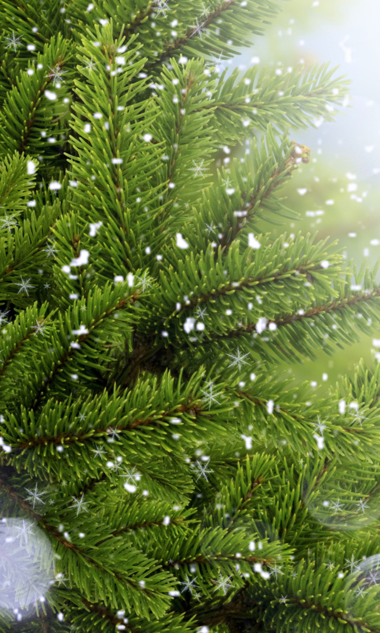 Das Christmas Tree And Snow Wallpaper 768x1280