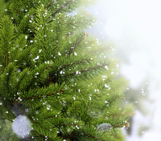 Kostenloses Christmas Tree And Snow Wallpaper für iPad mini