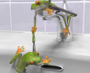Обои Froggy 176x144