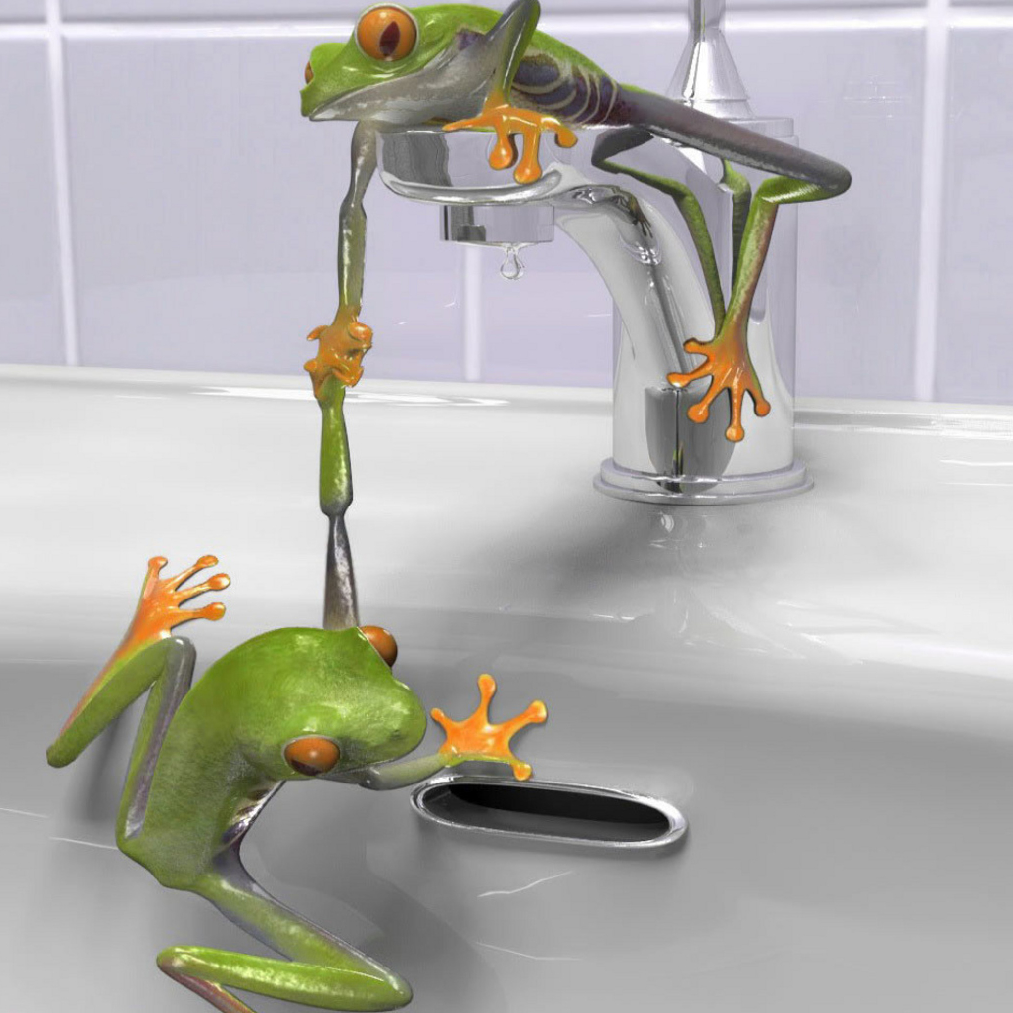 Das Froggy Wallpaper 2048x2048