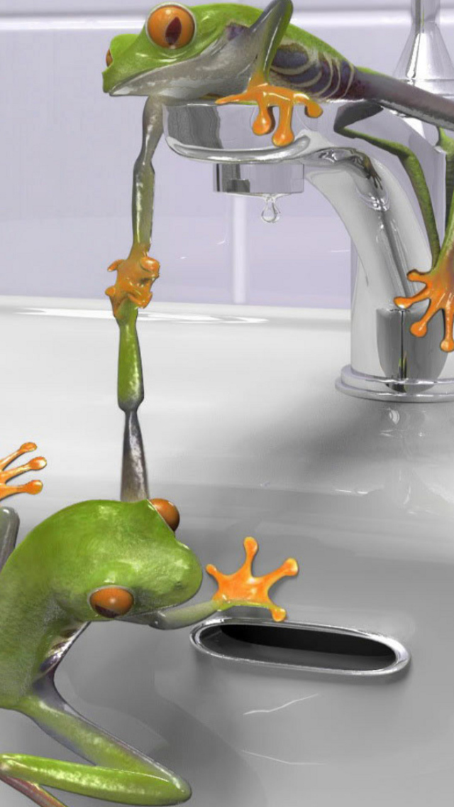 Froggy wallpaper 640x1136