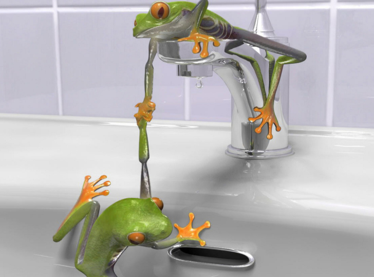 Screenshot №1 pro téma Froggy