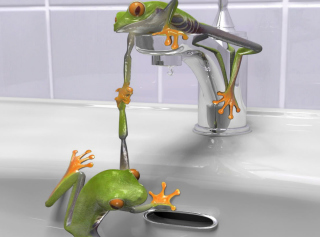 Froggy - Obrázkek zdarma pro Samsung Galaxy S 4G