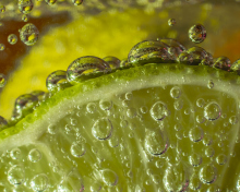 Green Lime Bubbles screenshot #1 220x176
