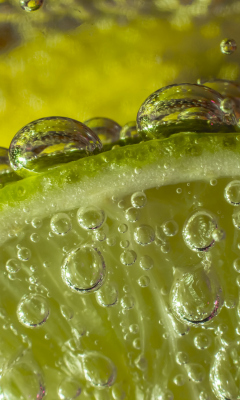 Sfondi Green Lime Bubbles 240x400