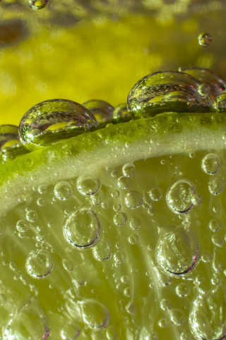 Sfondi Green Lime Bubbles 320x480