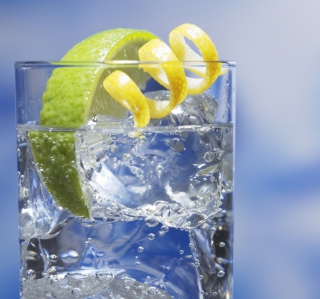 Gin And Tonic Cocktail - Obrázkek zdarma pro iPad Air