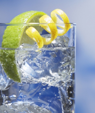 Gin And Tonic Cocktail - Obrázkek zdarma pro Nokia Asha 300