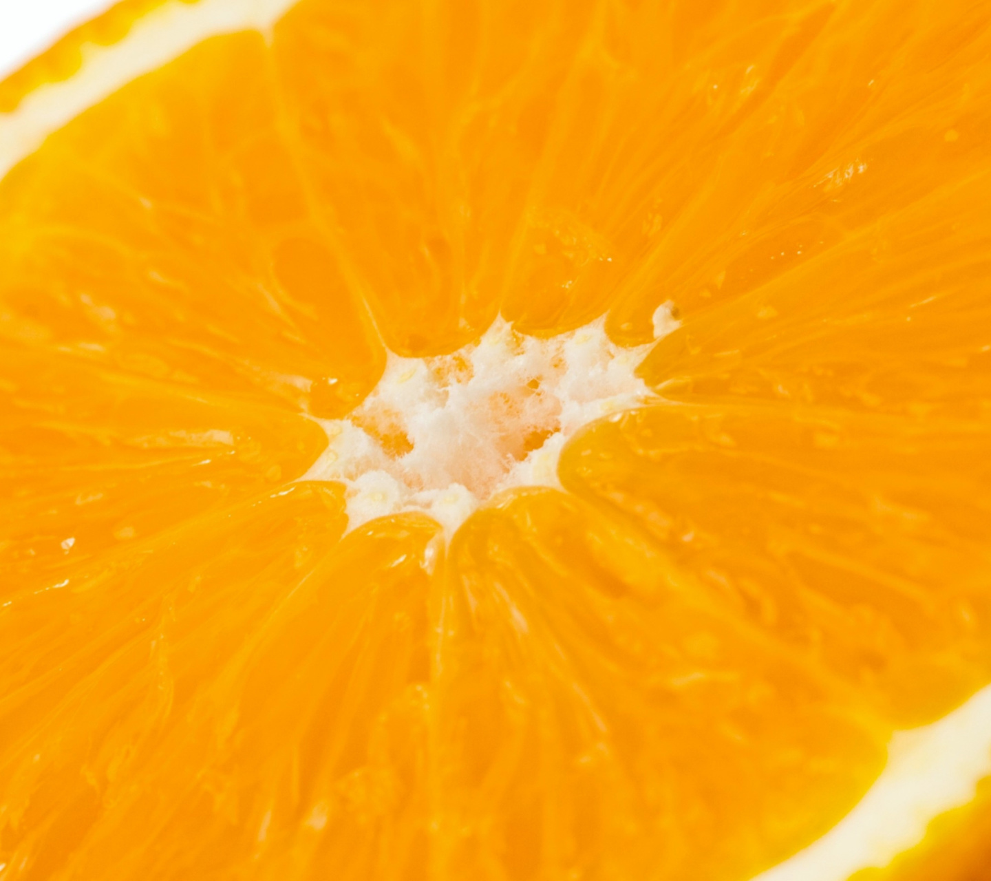 Macro Orange wallpaper 1440x1280