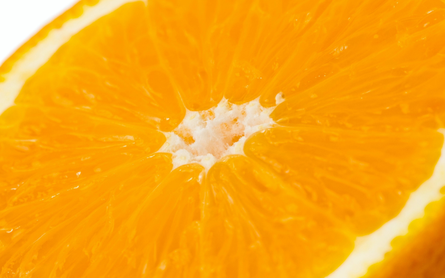Sfondi Macro Orange 1440x900