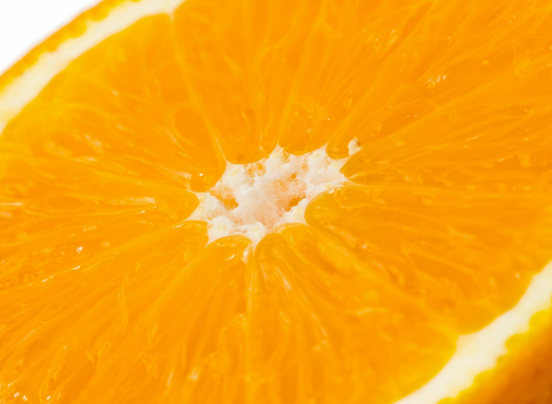 Sfondi Macro Orange 1920x1408
