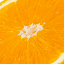 Macro Orange wallpaper 208x208