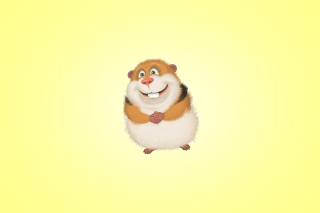 Funny Guinea Pig - Obrázkek zdarma pro Fullscreen Desktop 1024x768