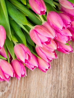 Beautiful and simply Pink Tulips wallpaper 240x320