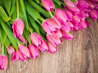 Screenshot №1 pro téma Beautiful and simply Pink Tulips 320x240