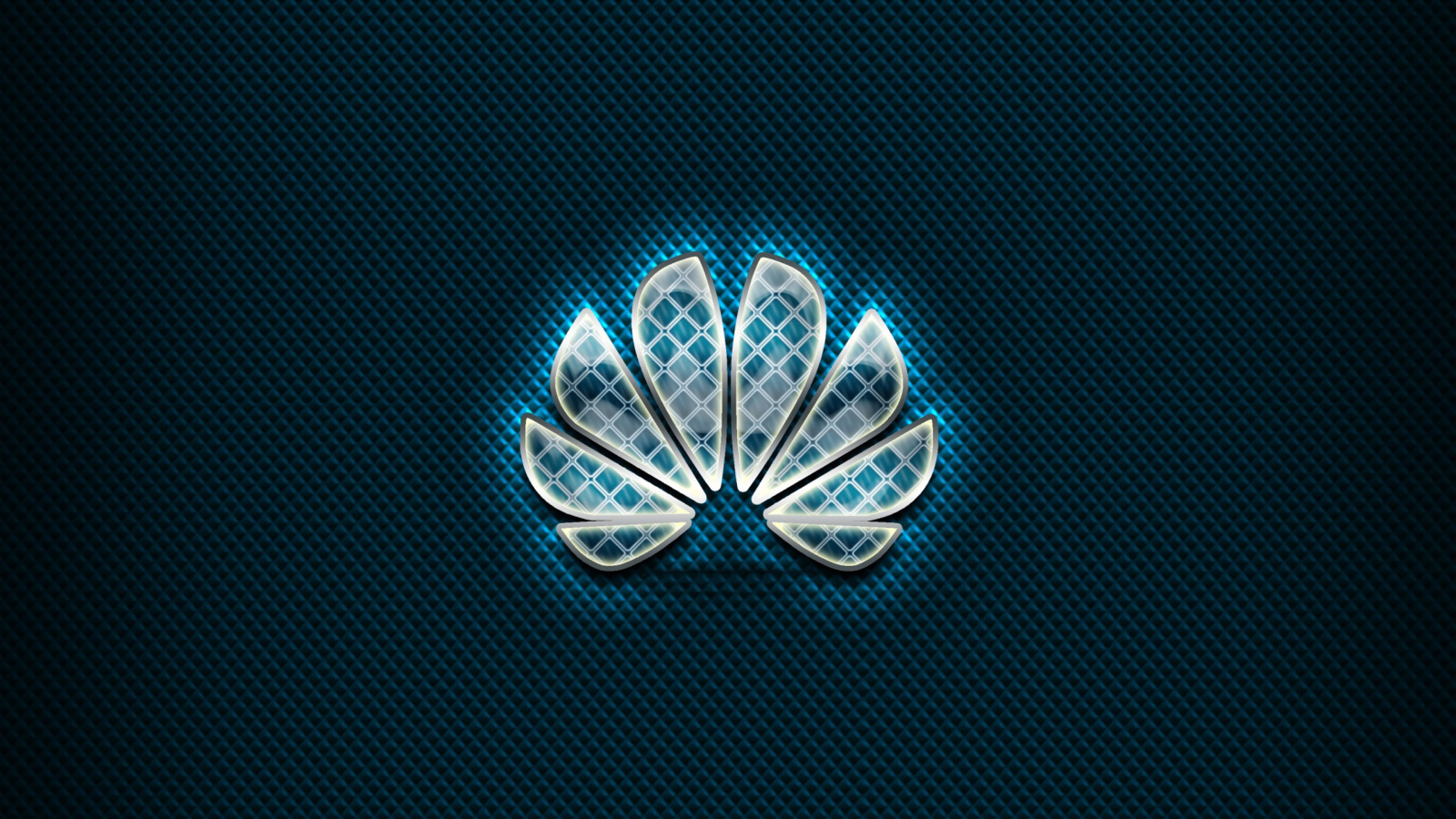 Huawei Blue Logo screenshot #1 1600x900