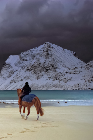 Обои Horse Riding On Beach 320x480