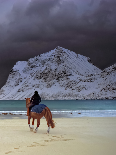 Sfondi Horse Riding On Beach 480x640