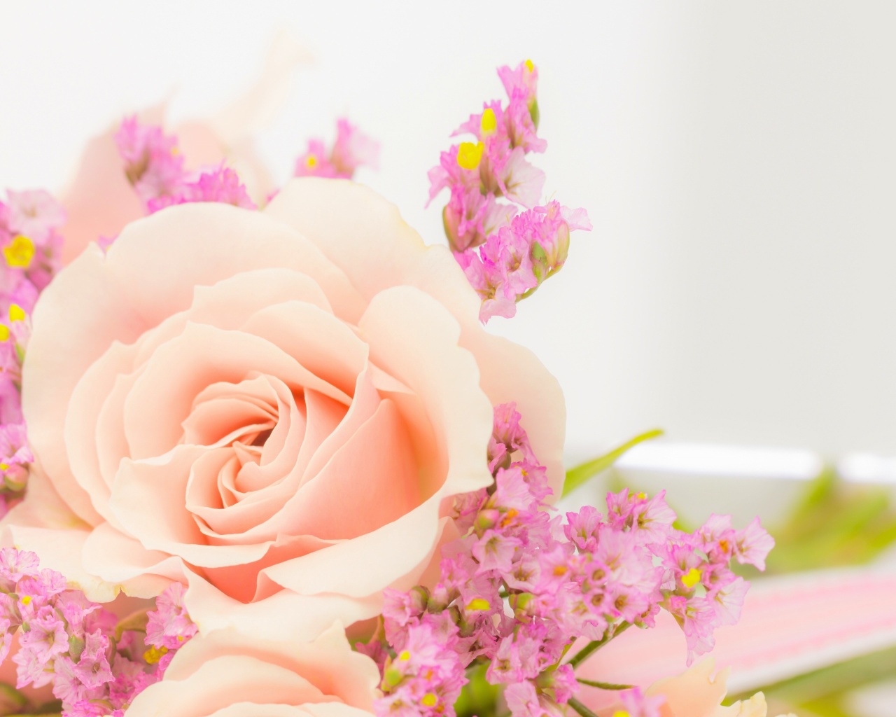 Pink rose bud screenshot #1 1280x1024