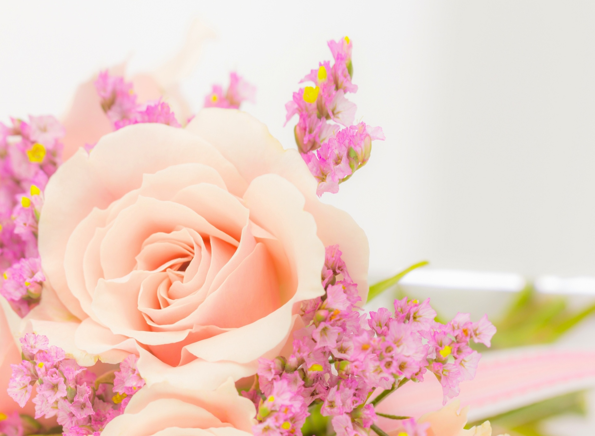 Pink rose bud screenshot #1 1920x1408