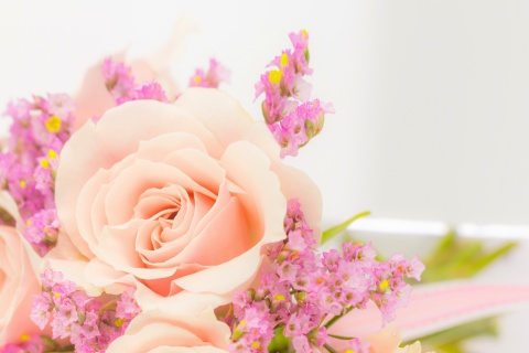 Pink rose bud screenshot #1 480x320
