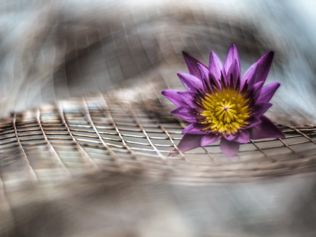 Purple Flower On Metallic Net screenshot #1 1024x768